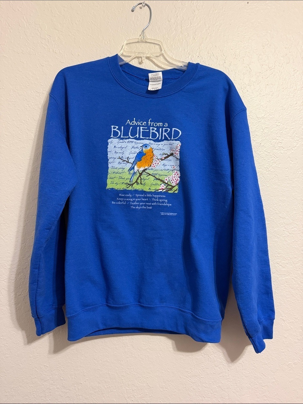 Vintage 90s Blue Bird Sweatshirt cottagecore granny grandma nature boho